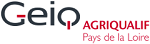 GEIQ